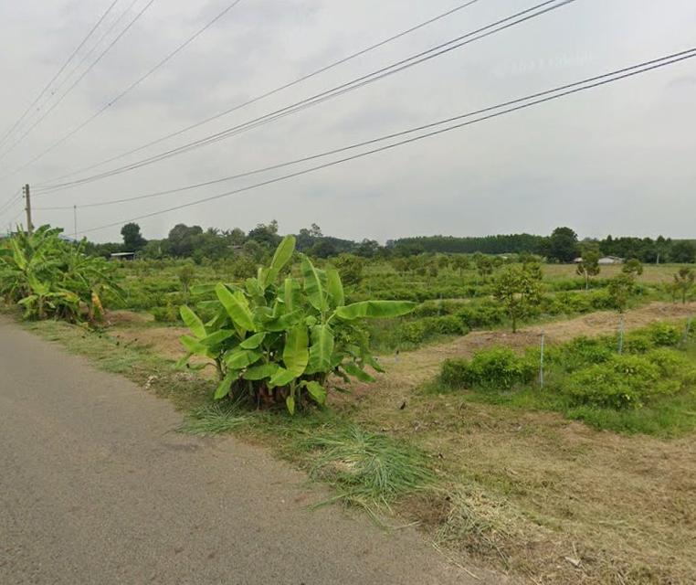ขายที่ดินพร้อมสวนทุเรียนเนื้อที่ 2 ไร่ ติดถนน2ด้าน ใกล้นิคมเกตเวย์-11กม. อ.แปลงยาว ฉะเชิงเทรา