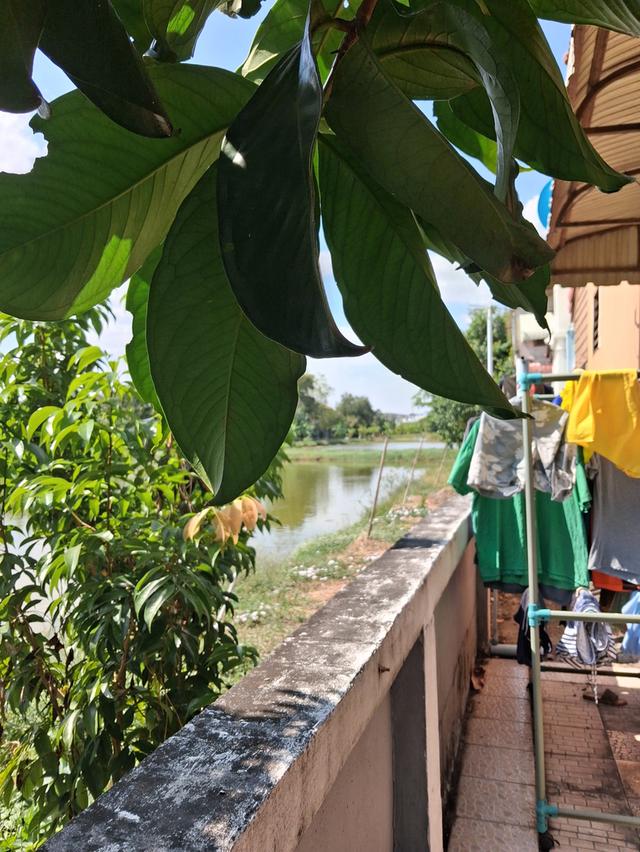 บ้านเดี่ยวมือสอง ใกล้สนามบินสุวรรณภูมิ 8