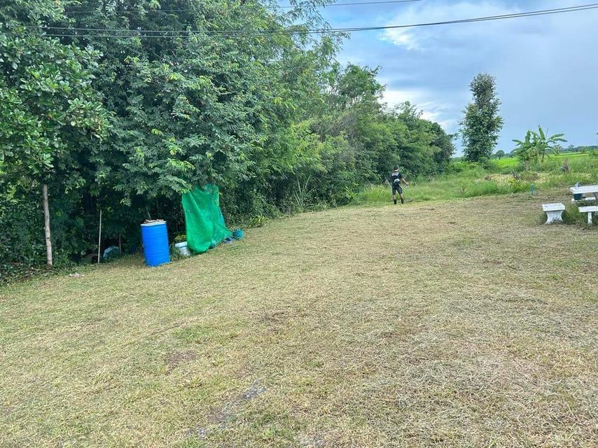 บ้านชั้นเดียว เนื้อที่ 1 ไร่ 6