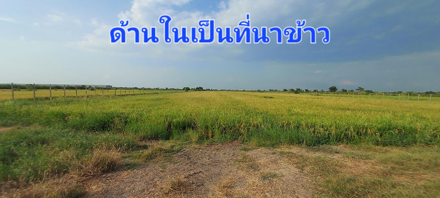 ลำลูกกา คลองสิบ จ.ปทุมธานี 1