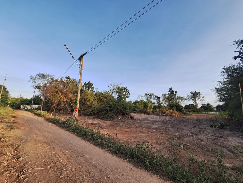 ขายที่ดินหัวหิน112(หัวนา21) 3