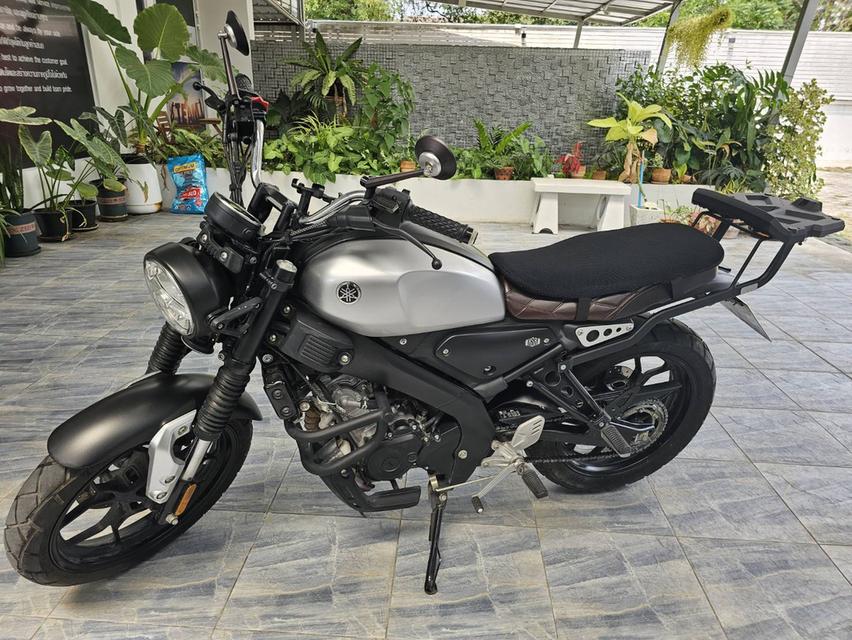 yamaha xsr155