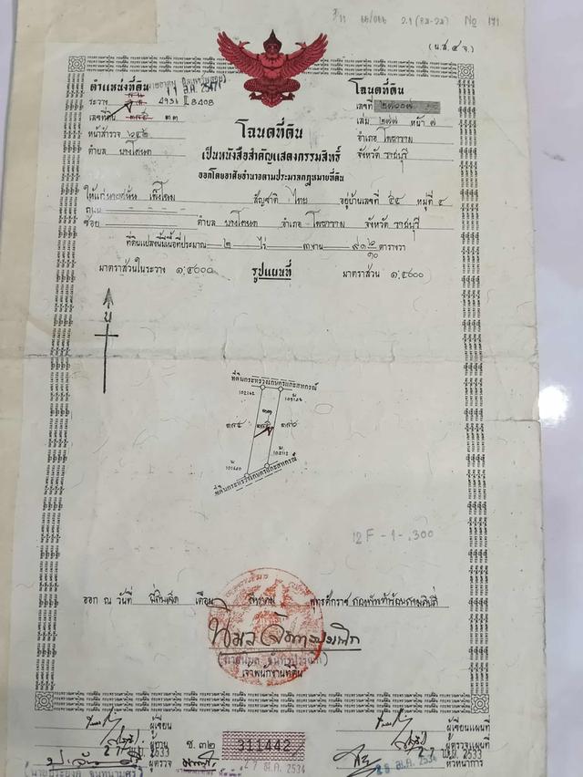 ที่ดิน 9