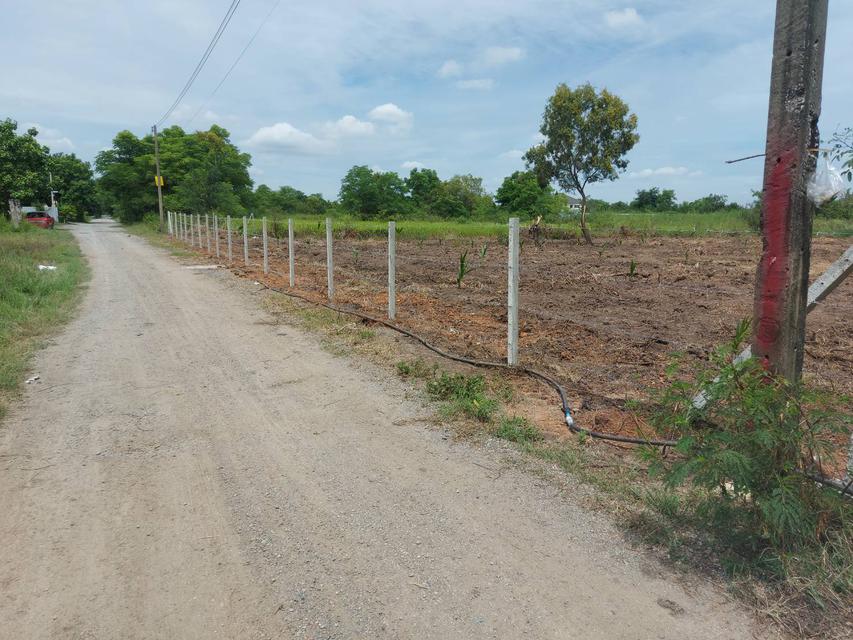รูป ขายที่ดิน 2 ไร่ คลองหลวง คลองสอง 3