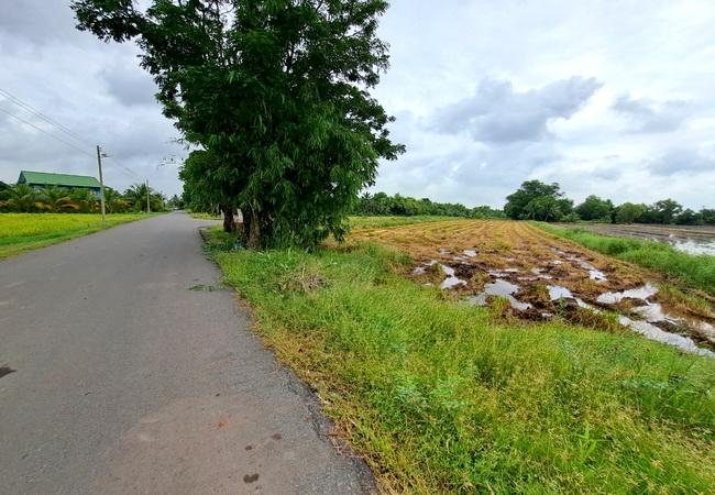 ขายที่ดิน บึงเทพยา ตำบลบางน้ำเปรี้ยว อำเภอบางน้ำเปรี้ยว ฉะเชิงเทรา 7