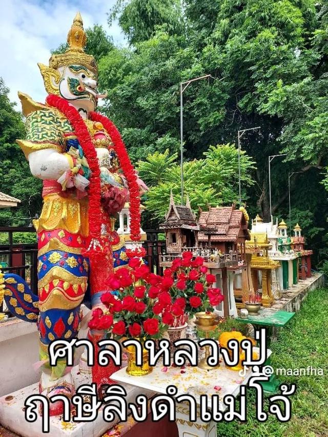 ที่พักฟรีเชียงใหม่ 5