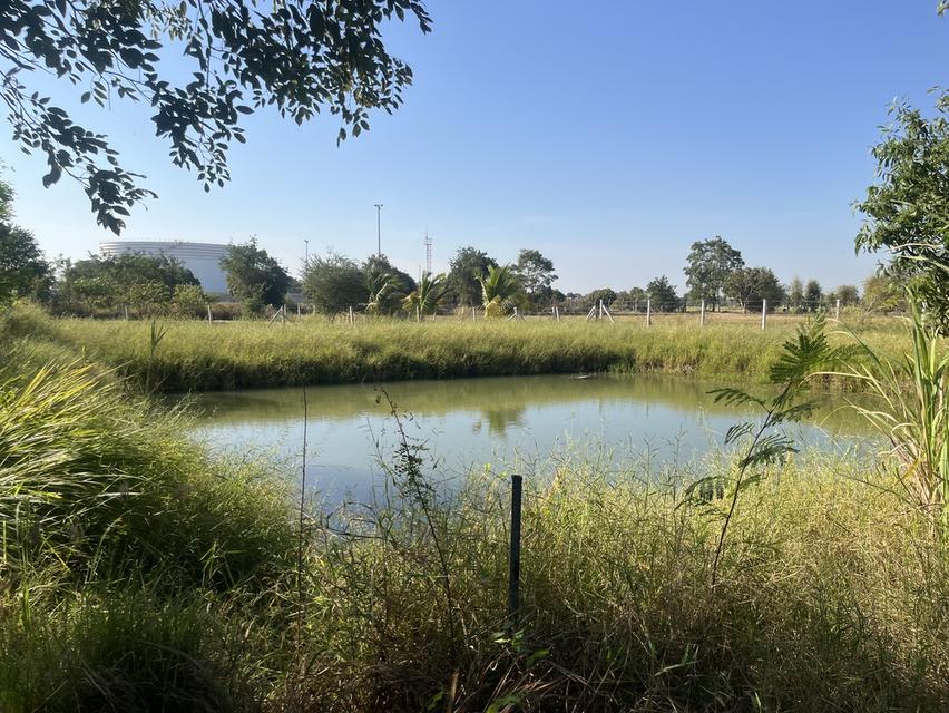 ขายที่ดิน1ไร่2งาน ใกล้คลังน้ำมัน เสาไห้ จ.สระบุรี 7