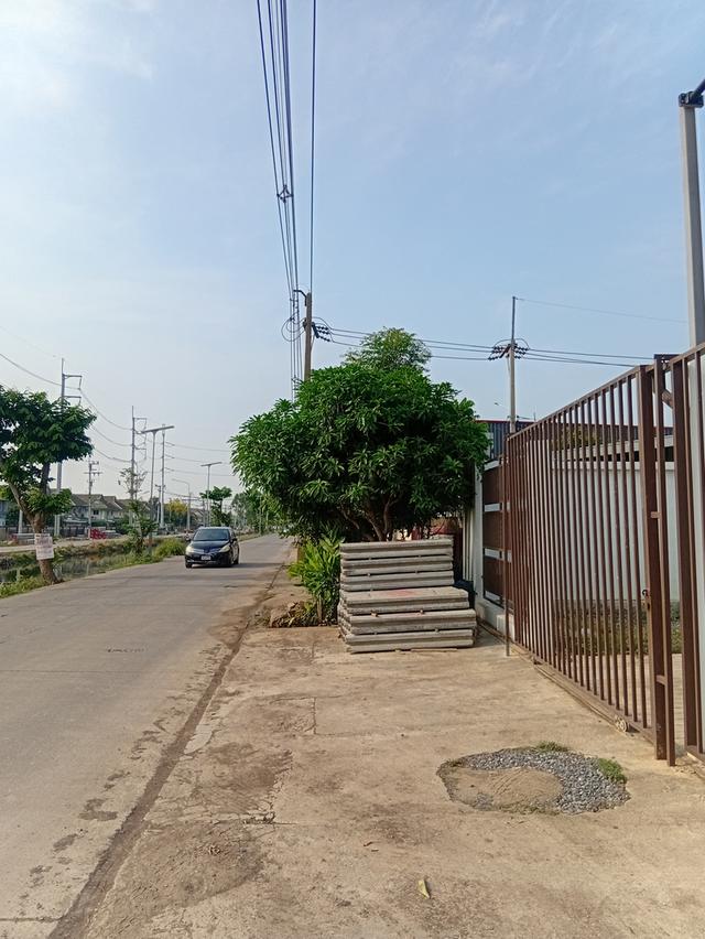 ที่ดิน 14