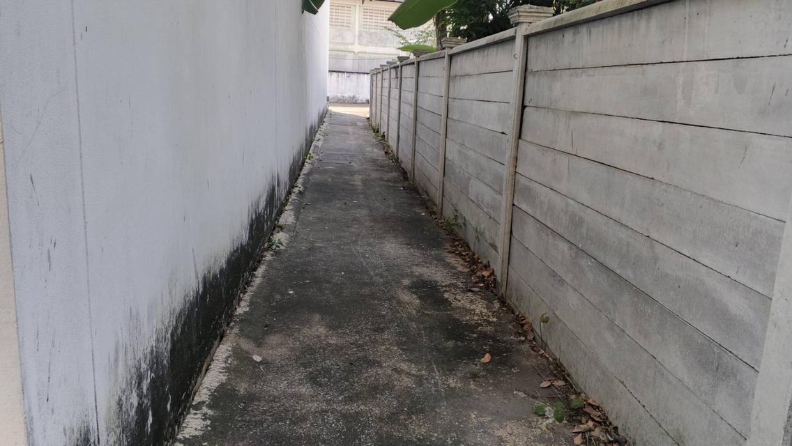 📢 เจ้าของขายเอง | ที่ดินพร้อมโกดัง พระประแดง ทำเลดีมาก 16