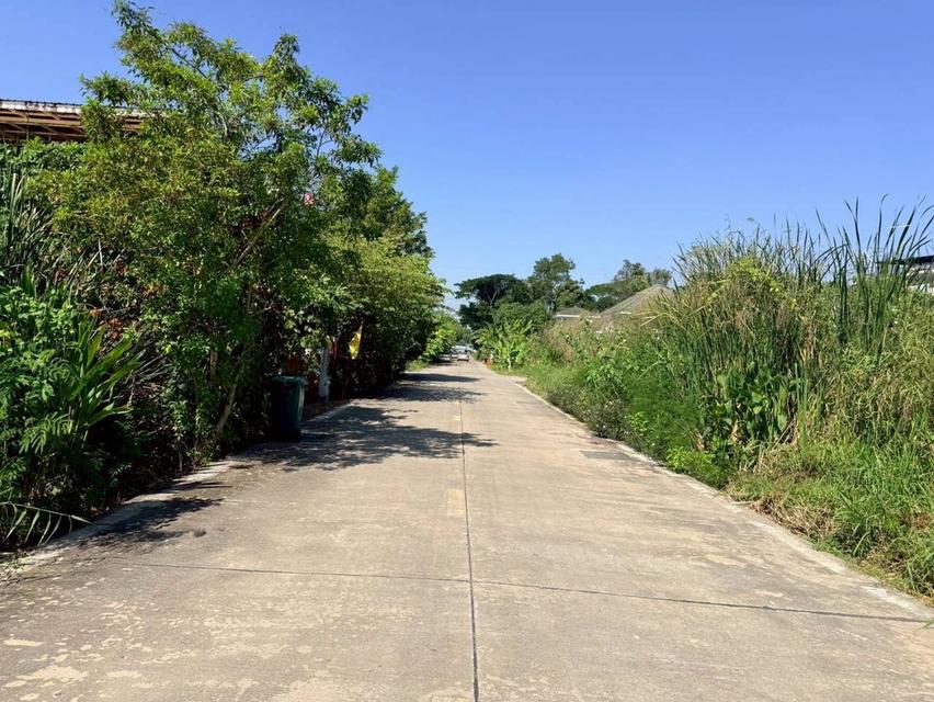 Vายด่วน ที่ดินใกล้มอเตอร์เวย์ 80 ตารางวา แปลงมุม ติดถนนคอนกรีตสาธารณะ ซอยคลองสี่ 6 อ.คลองหลวง จ.ปทุมธานี 5