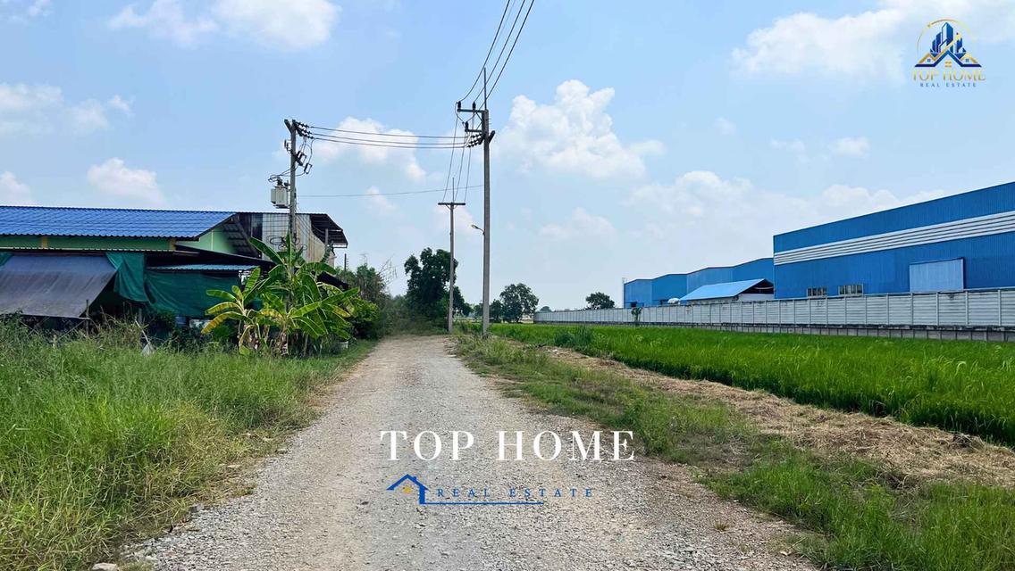 🔥 **ขายด่วน! ที่ดิน 1 ไร่ วังน้อย อยุธยา** 🔥 📍 ใกล้ อบต.สนับทึบ | แปลงสวย ถมแล้ว พร้อมใช้งาน 9