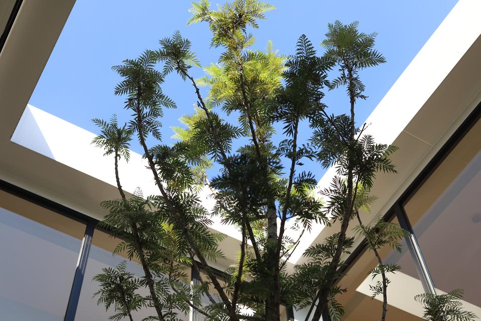 🏠ขายบ้านเดี่ยว 112 ตร.ว หมู่บ้านเทพธานี เฉลิมพระเกียรติ ร.9 💢(บ้านสร้างใหม่ ออกแบบเฉพาะ หรูหรา โดดเด่น)💢 11