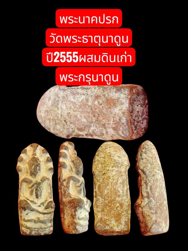 พระนาคปรก วัดพระธาตุนาดูน