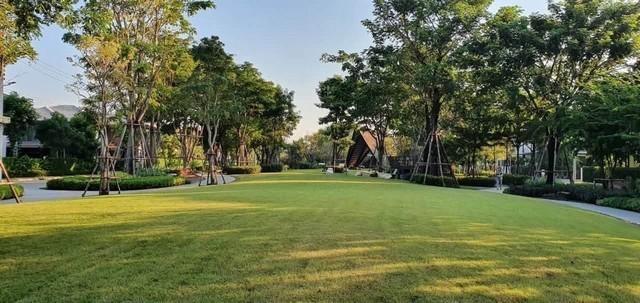 ให้เช่าบ้านเดี่ยว โครงการ บุราสิริ พัฒนาการ ซอยพัฒนาการ 87 ถนนพัฒนาการ-อ่อนนุชตัดใหม่ เขตประเวศ 14