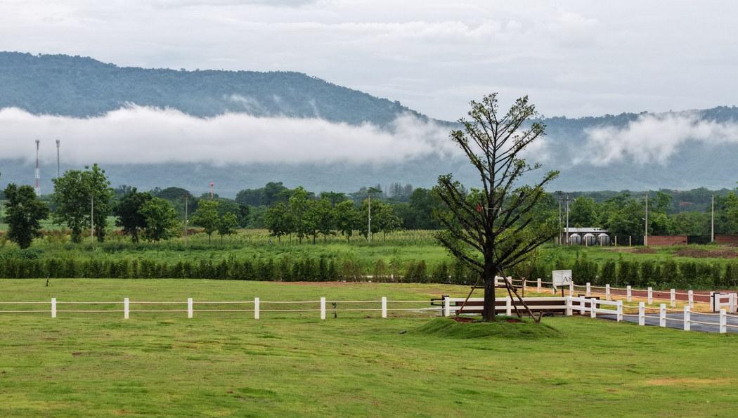 ขายที่ดินเขาใหญ่ ปากช่อง ถนนเส้นทอสคาน่า วิวอุทยานเขาใหญ่ และ Toscsna 180 องศา ที่ดินถมแล้ว 1-2 เมตร พร้อมปลูกสร้างได้ทันที 6