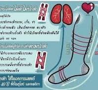 summit queen (ซัมมิท ควีน ), ร้านค้าออนไลน์ 0905632104 7