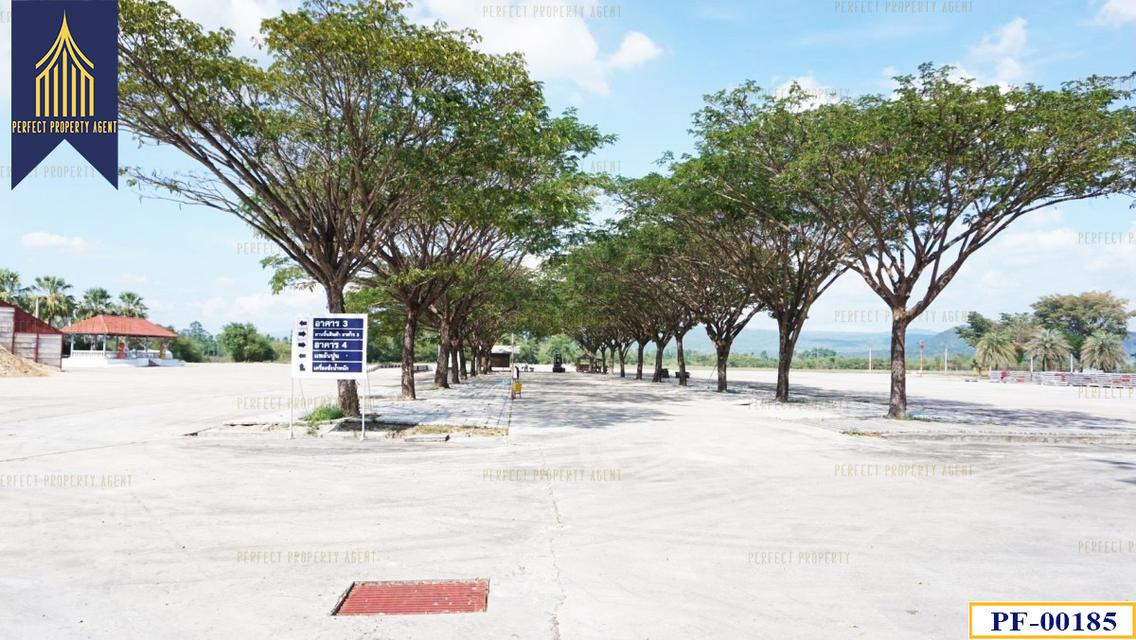 ขายที่ดินพร้อมโรงงาน 130 ไร่ ปราจีนบุรี 12