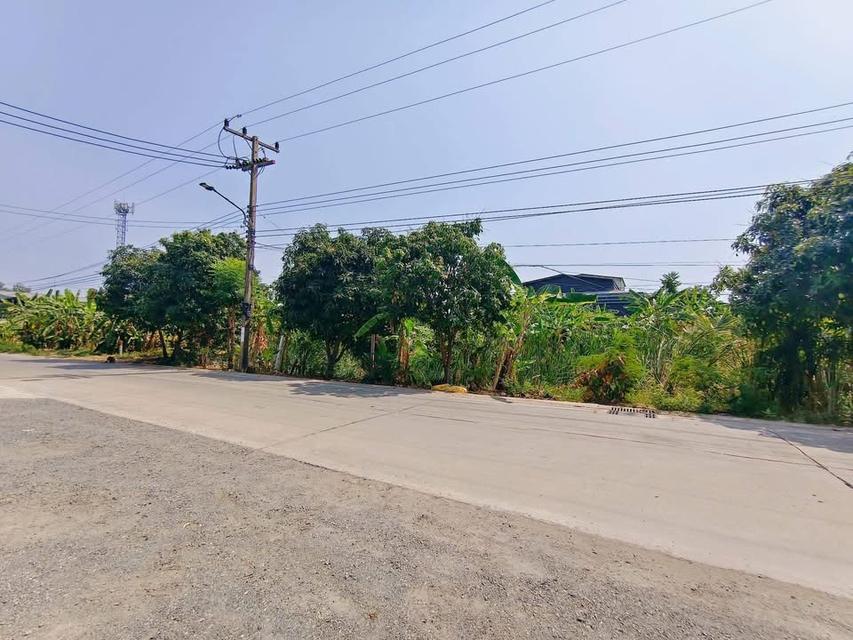 Vายด่วนทีดินใกล้ตลาดไท 509 ตารางวา ซอยเทพกุญชร2 คลองหลวง ปทุมธานี 7