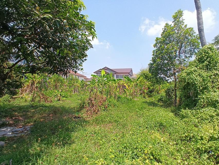 ขายที่ดิน 204 ตารางวาถมแล้ว ซอยแม่สำเนียง ตำบลเสาธงหิน อำเภอบางใหญ่ จังหวัดนนทบุรี 1