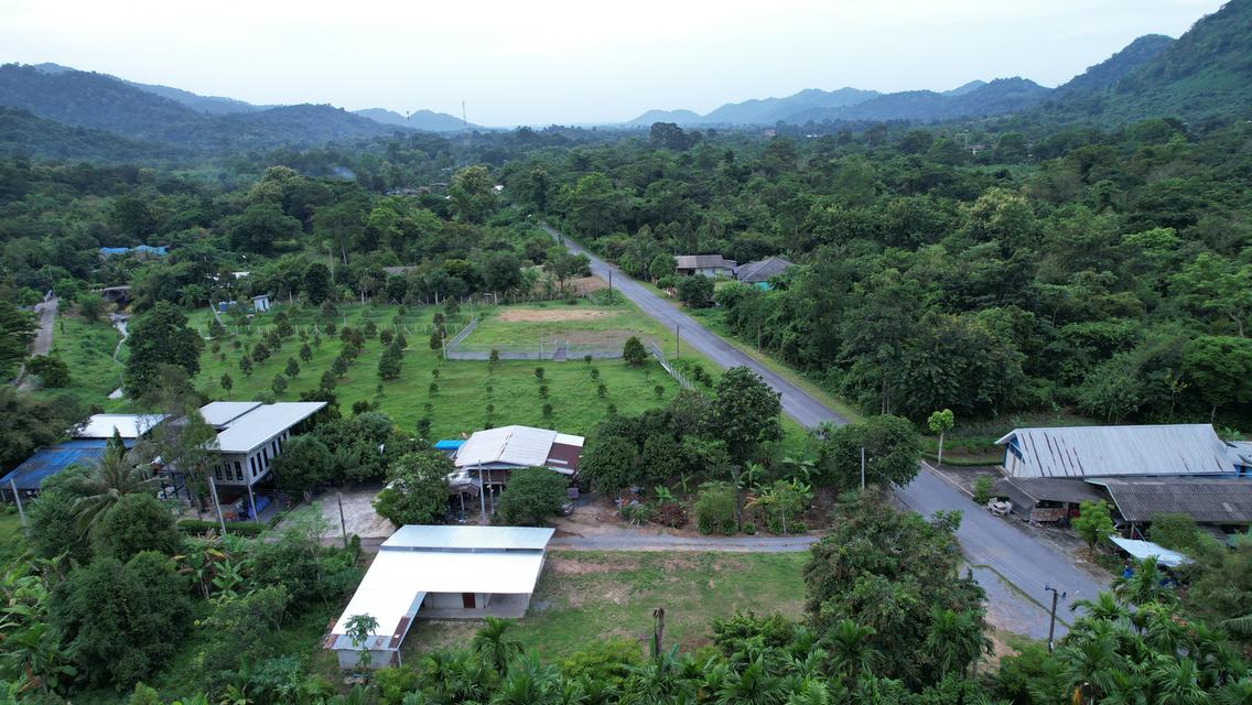 ขายบ้านพร้อมที่ดิน 200 ตารางวา ต.เขาพระ ติดถนนหลัก วิวเขาชัด เหมาะดัดแปลงทำพูลวิลล่า 4