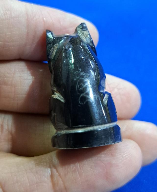 #เสือเขาควาย อุดกริ่ง หลวงพ่อเปิ่น วัดบางพระ นครปฐม