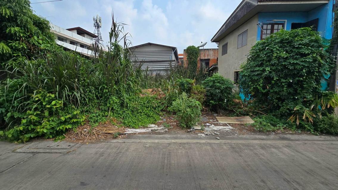 ขายด่วนที่ดิน 50 ตรว ติดถนนคอนกรีต  พุทธมณฑลสาย 4 กระทุ่มแบน สมุทรสาคร 1