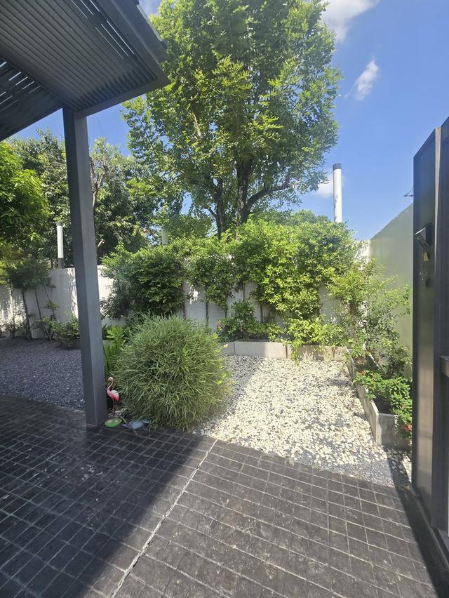 U1464 ให้เช่าบ้านเดี่ยว 3 ชั้น โครงการ The AVA Residence Sukhumvit สุขุมวิท 77 บ้านทำเลดีใกล้รถไฟฟ้า mrtศรีนุช เดินทางสะดวก 3