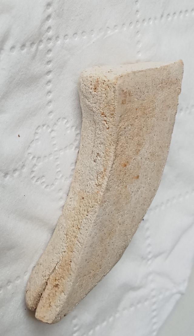 เขี้ยวหนุมาน หลวงปู่จันทร์ วัดโหลกหลำ รูปย่อยที่ 4