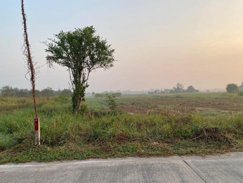 ที่ดินเปล่า 4-2-05 ไร่ ( ต.หนองบอนแดง อ.บ้านบึง จ.ชลบุรี) ฿2,500,000 / ไร่ 2