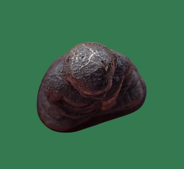 หลวงพ่อเงิน พิมพ์นิยม รูปที่ 13