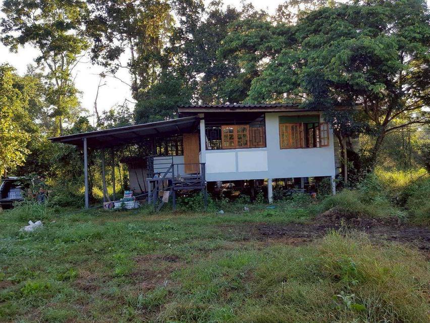 [ขายด่วน!] ที่ดินแปลงใหญ่ 76 ไร่เศษ ติดถนนพหลโยธิน ต. สมอโดน อ.บ้านตาก จ.ตาก หน้ากว้างสวย 425 เมตร ทำเลดี ติดห้วยธรรมชาติ เหมาะลงทุนและทำเกษตร 2