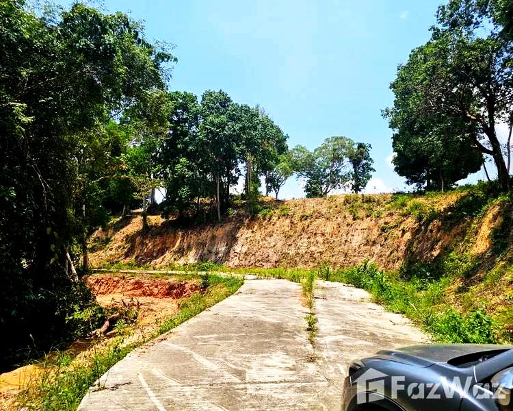ขายที่ดินภูเก็ต Phuket แปลงสวย 21-1-35.7 ไร่ RAI (170 ล้าน MB) Kathu - Patong อ.กะทู้-ป่าตอง แปลงสุดท้าย ท้ายสุด สร้างบ้านเดี่ยวหรู ขายหมดได้สบายๆ 14