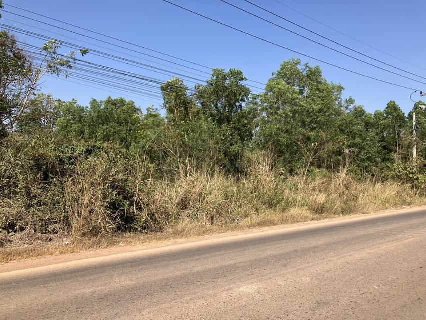 ขายที่ดินกบินทร์บุรีทำเลดีเนื้อที่ 1 ไร่ ซอยวัดคชรัตน์ ใกล้ถนนสี่เลน304เพียง500เมตร จ.ปราจีนบุรี 2