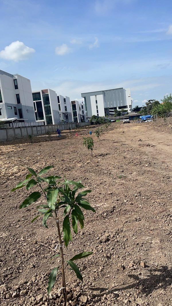 เช่า/ขายที่ดิน 4 ไร่ เศษ กิ่งแก้วซอย 19 ทำเลดี ใกล้ถนนใหญ่กิ่งแก้ว 8 เลน 200ม. สมุทรปราการ (ที่ดินสีแดง) โทร 081-8017208 2