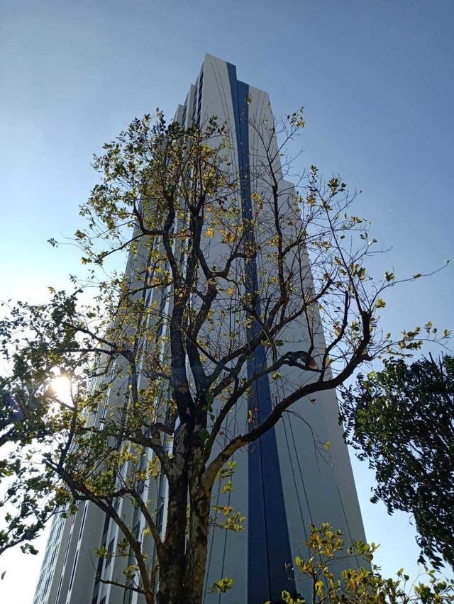 คอนโด ESCENT โคราช ติดเซ็นทรัลนครราชสีมา เดินถึงได้! 2