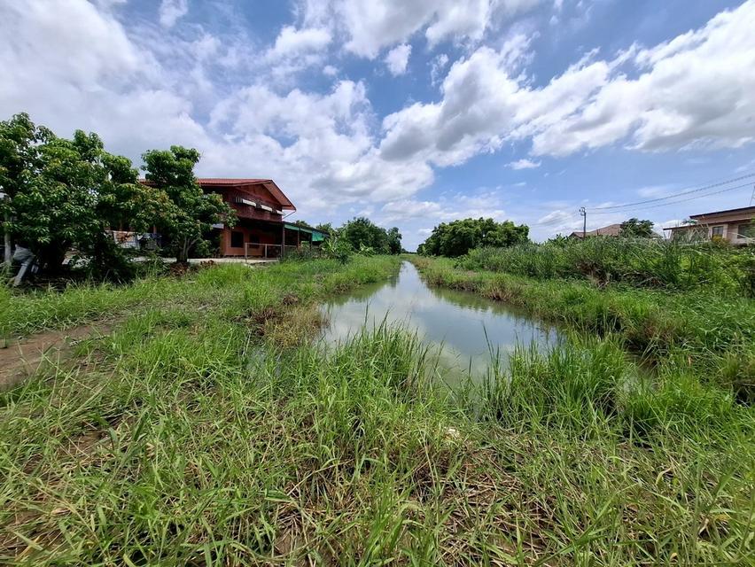 ขายที่ดิน ติดถนนมิตรไมตรี ใก้ลกับซอยมิตรไมตรี 8/5 เขตหนองจอก กรุงเทพมหานคร 2