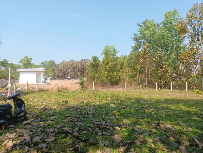 ขายที่ดินเปล่า  1  งาน  ต.ท่าวังทอง เมืองพะเยา 1