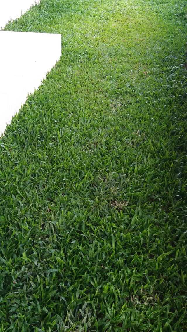 ขายบ้านเดี่ยวเชียงใหม่ 7