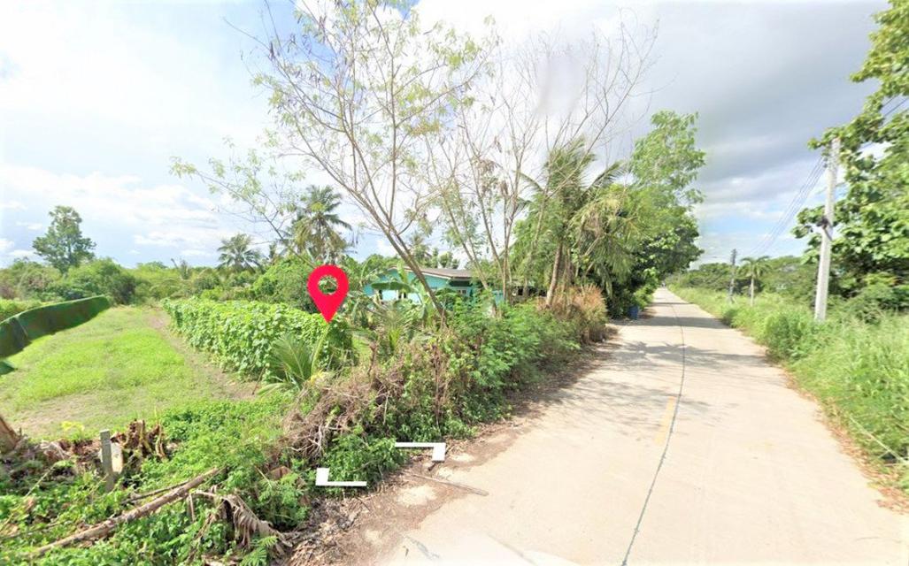 รูป ขาย ที่ดิน ME047 แปลงเล็ก ทำเลดี หนองอิรุณ บ้านบึง ชลบุรี . 1 ไร่ ติดถนนสาธารณะ ไฟฟ้า ปะปา เหมาะบ้านสวน เกษตร ห่างถนน 34 6