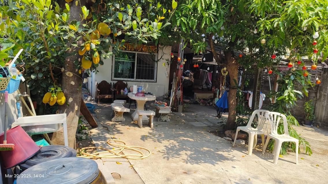 บ้านเดี่ยวถนนลาดพร้าว ใกล้รถไฟฟ้าสายสีเหลือง 11