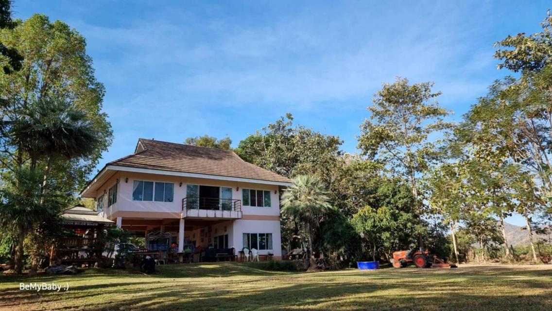 ขายบ้านสวนเขาใหญ่ พร้อมสวนผลไม้ ไม้เศรษฐกิจ ที่ดิน19ไร่ เขาวง หนองน้ำแดง ปากช่อง วิวเขาสวย ติดถนนลาดยาง7165 ใกล้มิตรภาพ มีภบท.ท้ายที่อีก9ไร่ รวม27ไร่ 1