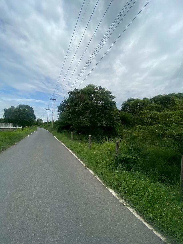 ขายที่ดิน 8 ไร่ อยู่ถนนสายเอเซีย อ. อินทร์บุรี จ. สิงห์บุรี 8