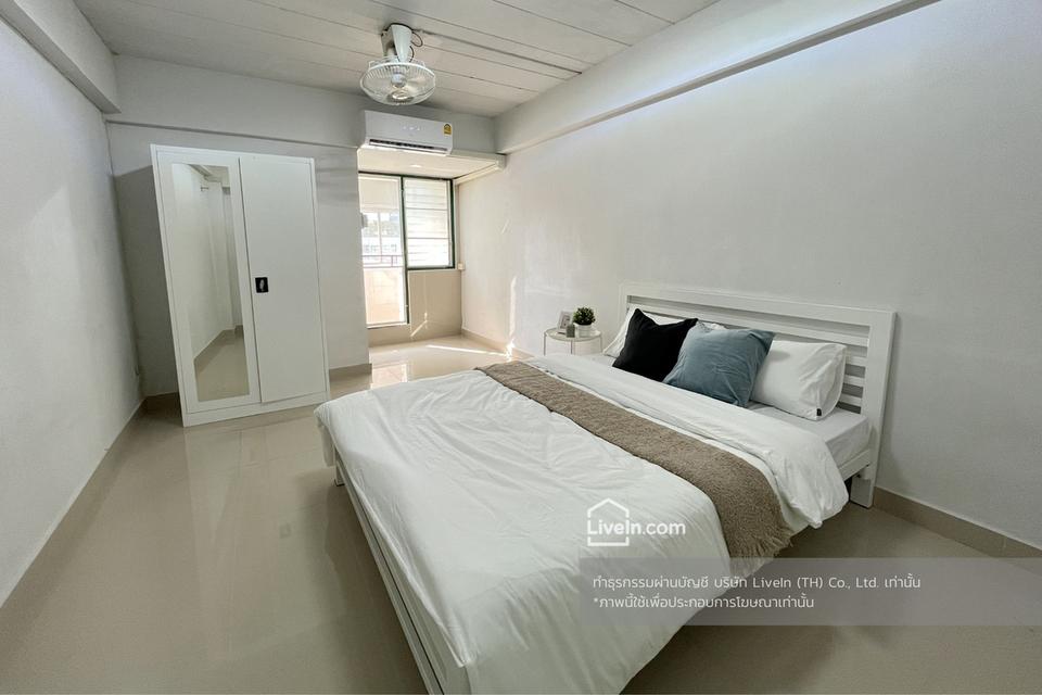 อพาร์ทเม้นท์ให้เช่า LiveIn @ Bangna Mansion เลี้ยงแมวได้! ใกล้ BTS บางนา 8