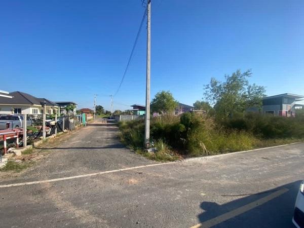 ขายยกที่ดิน 2 แปลงติด ต.หนามแดง อ.เมือง จ.ฉะเชิงเทรา เนื้อที่รวม 3-1-72.2 ไร่ โทร 096-0124534 รูปย่อยที่ 1