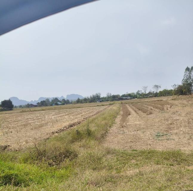 ที่เปล่า อ.ปากท่อ จ.ราชบุรี 5