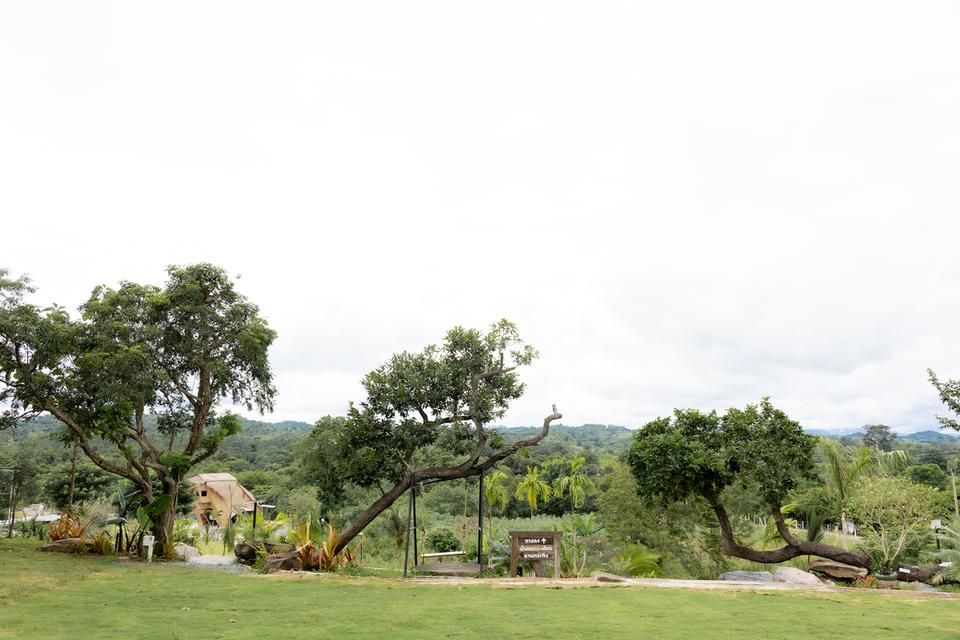 ขายรีสอร์ท ที่ วังน้ำเขียว  14ไร่  บนถนน 3060 เส้นไปปากช่อง ระเริง 27 ล้าน บาท 6