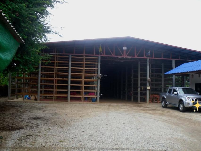 ที่ดินพร้อมสิ่งปลูกสร้าง 5