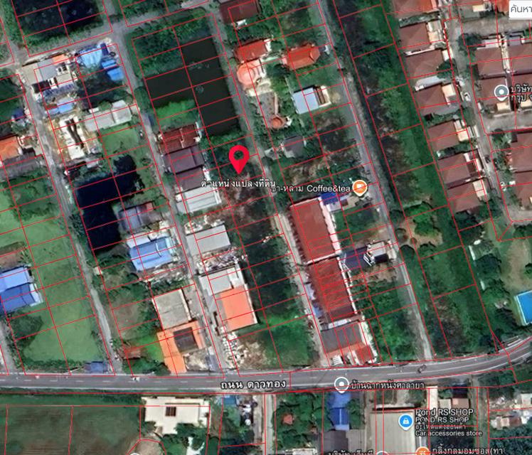 ที่ดินเปล่าถมแล้ว 50 ตารางวา 1