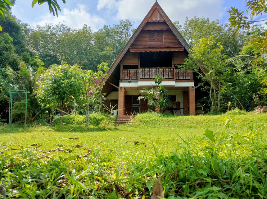 บ้านเดี่ยว น้ำไม่ท่วม ใกล้บ้านโคกเมา 3