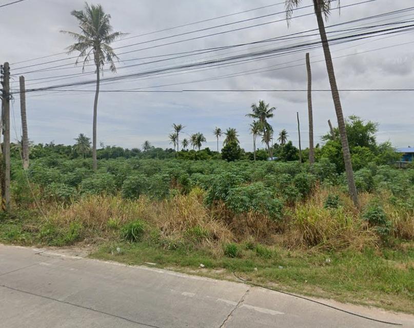 ขายที่ดินสีม่วงลายบึงถมแล้ว 15 ไร่ ติดถนนคอนกรีตซอยดอนนุ่น ใกล้นิคมปิ่นทอง2-4กม. อ.ศรีราชา ชลบุรี 2